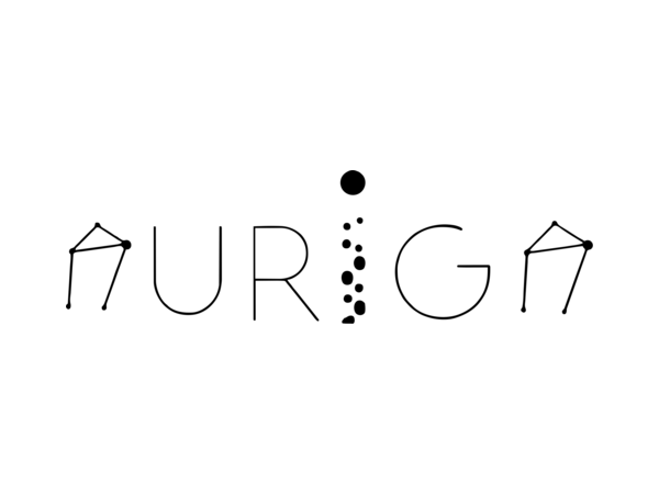 AURIGA at the 55th European Two-Phase Flow Group Meeting
